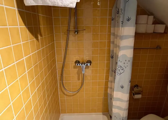 Apartamento Skalina Center *